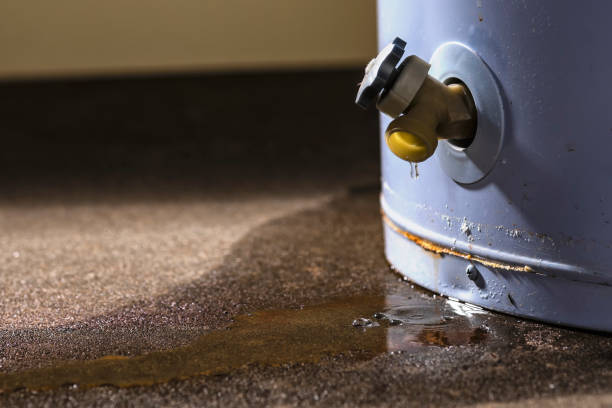Trusted Mango, FL Water damage restoration Experts