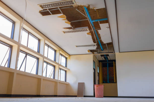 Sewage cleanup and water damage restoration in Mango, FL