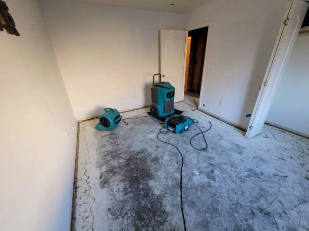 24/7 water damage repair in Mango, FL