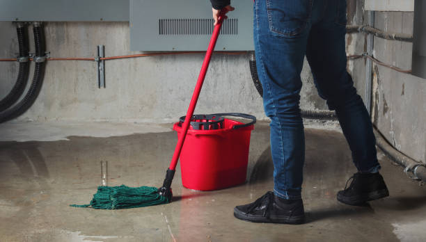 Best Water damage repair service  in Mango, FL