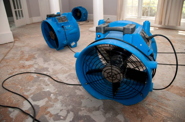 Best 24-hour water damage restoration  in Mango, FL