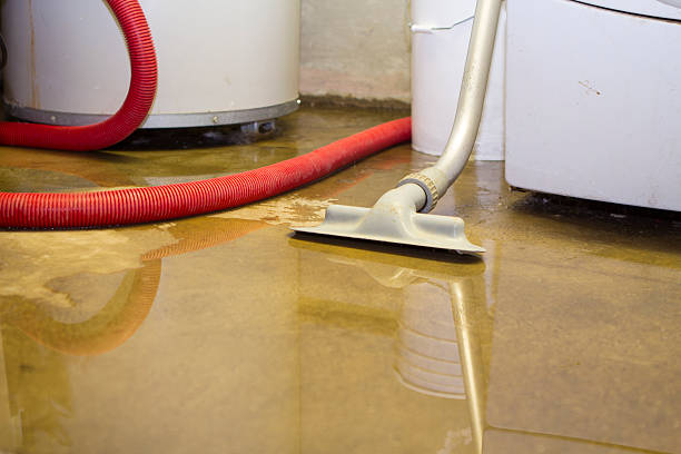 Best Commercial water damage restoration  in Mango, FL