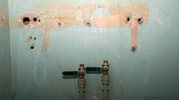 Best Local water damage restoration  in Mango, FL
