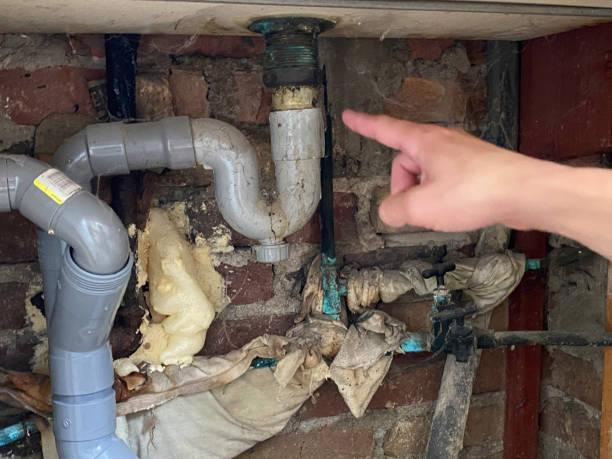 Best Emergency water damage restoration  in Mango, FL