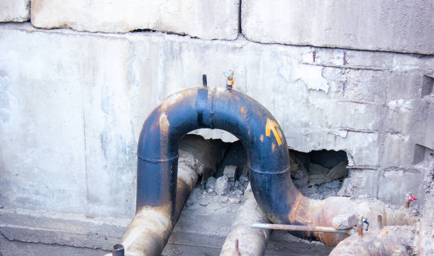 Best Mold removal after water damage  in Mango, FL